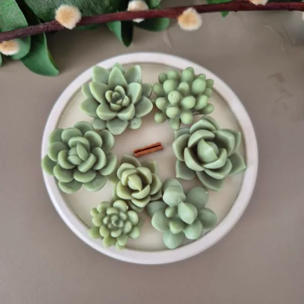 Botanische Cactuskaars - Afbeelding 2